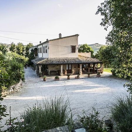 Agriturismo Col Morino Bed & Breakfast ปีเนโต ภายนอก รูปภาพ