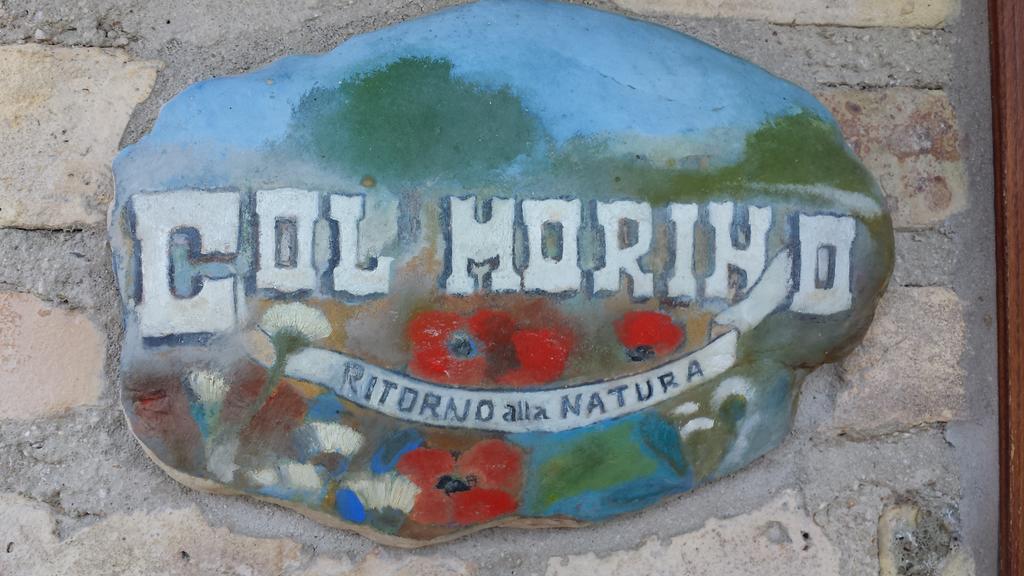 Agriturismo Col Morino Bed & Breakfast ปีเนโต ภายนอก รูปภาพ