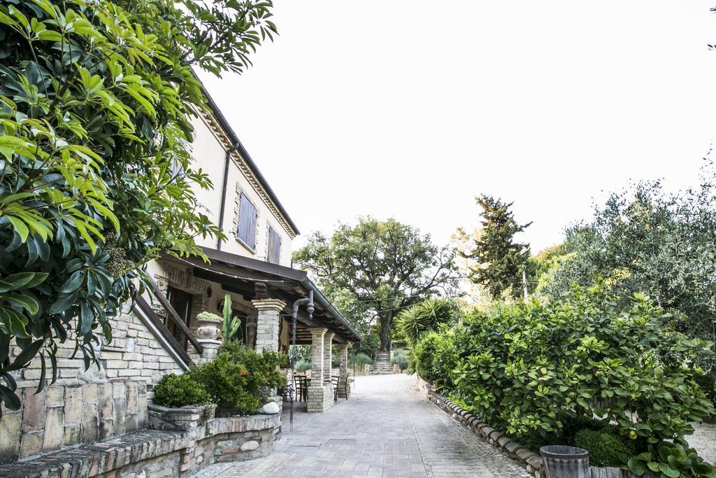 Agriturismo Col Morino Bed & Breakfast ปีเนโต ภายนอก รูปภาพ